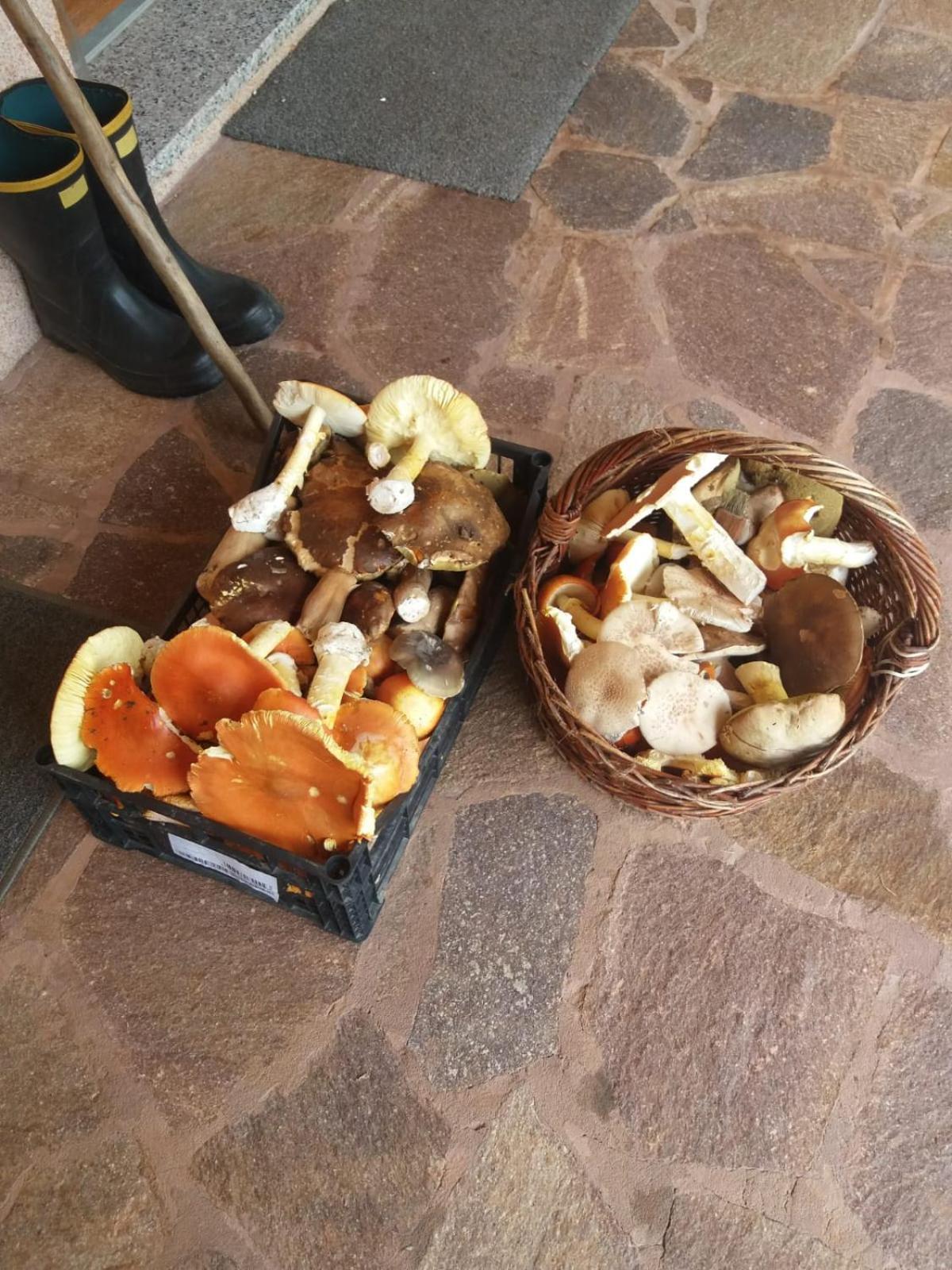 Wellness Villa Istriana Murine Dış mekan fotoğraf